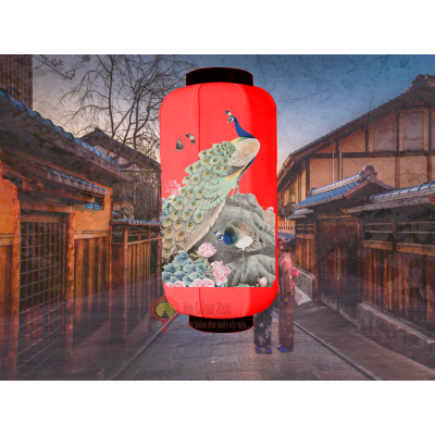 đèn lồng nhật đỏ vẽ đôi chim công