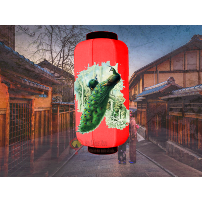 đèn lồng nhật đỏ vẽ đôi công xanh